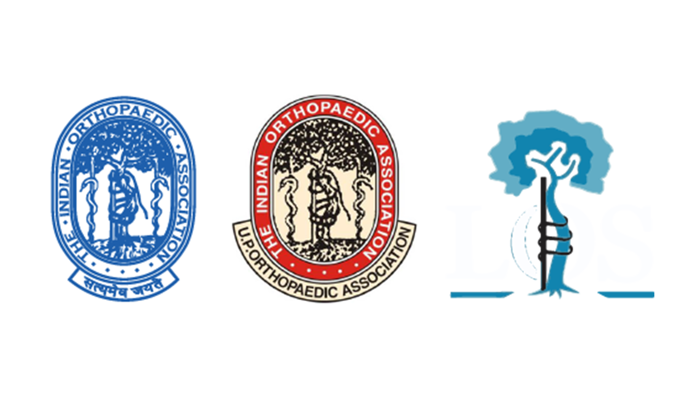 logo1